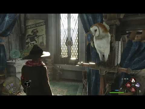 Walk around Ravenclaw tower - Hogwarts Legacy