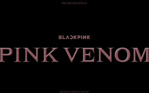 【blackpink】 PINK VENOM led背景