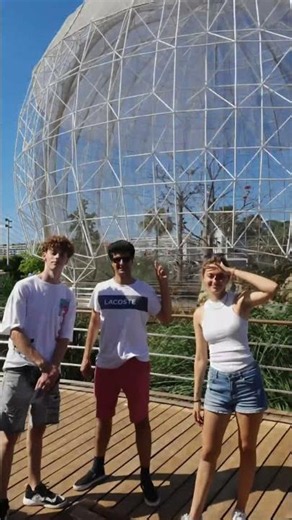 Oceanográfico, Valencia 🐠✨ One of the Best Places to Visit