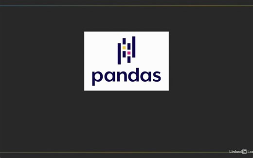 Python 的 pandas 库介绍