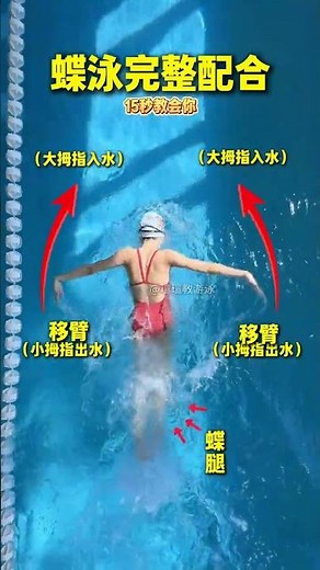Master the Butterfly Stroke: Ultimate Guide for Beginners