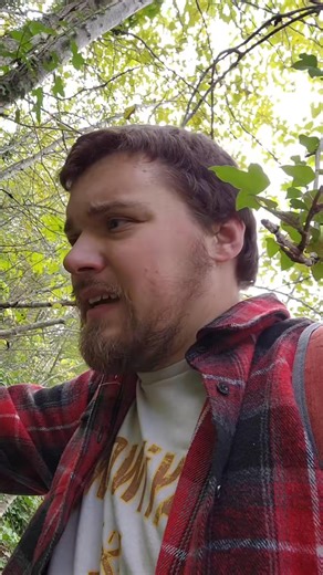 This is getting ridiculous -238 #northwest #coal #mining #pacificnorthwest #pnw #greenriver #washington #franklinghosttown #geology | Pnwadventurequest