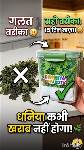 Dhania Organizer || Dhaniya ko kharab hone se bachane ka tarika || #meesho #orgainzer #viral #dhania
