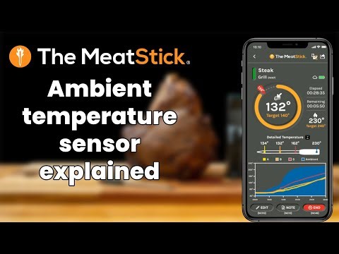 Ambient Temperature Sensor Explained I The MeatStick