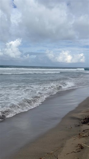 Barbara Lewis on Reels | Facebook