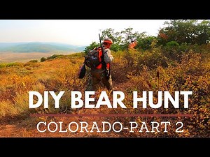 DIY COLORADO BLACK BEAR HUNT (FALL SPOT AND STALK) PART 2