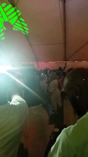 3.7K views · 248 reactions | Christopher Williams on Reels | Facebook