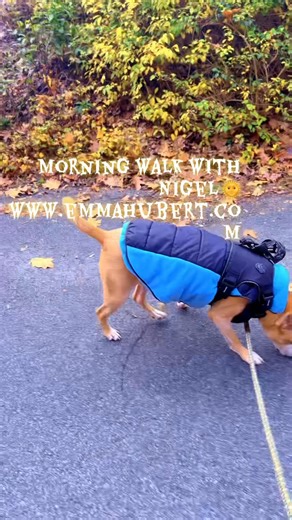 💡 Working smarter beats working harder - every time. I used to work long hours, 7 days a week 😔 until I learned there’s a better way. Now my digital marketing online business runs 24/7 in the background 💻✨ even while I’m walking with my buddy Nigel 🐾 or spending time with my loved ones 🌿💖 It’s not about doing more - it’s about creating freedom, balance, and peace in life. 🌸 👉 Check out www.emmahubert.com to learn how you can start working smarter too 💕 🌿 #EmmaHubert #WorkSmarterNotHard