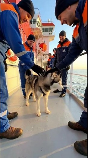 Husky Saves Ship Seconds Before Massive Explosion