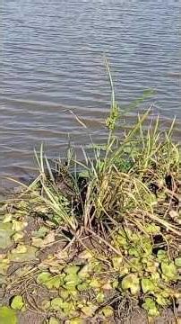 “The Machakos Lake the Media Never Shows”