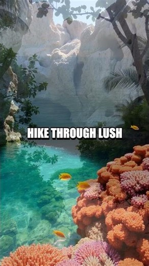 Exploring the Hidden Gems of Virgin Islands National Park, St. John