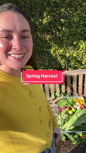 first signs of spring! 🌸🌼👩🏻‍🌾 #garden #gardentok #harvest #spring #vegetables