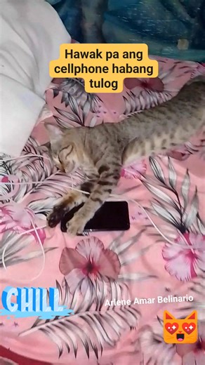 1.4K views · 21 reactions | Habang tulog ang alaga hawak ang cellphone.#smallcreator #tuloghawakcelphone #starsenderslife #ArleneAmarBelinario #reelsvideoviewers | Arlene Amar Belinario | Facebook