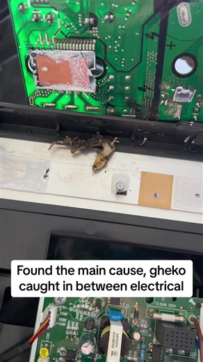 Air Conditioner Repair and Replacement Solutions