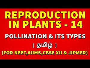 Pollination & its Types in Tamil | Reproduction in Plants Tamil (14) - Rajus Biology