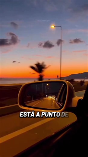 Despedida de Año con Panterita: Reflexiones y Gratitud