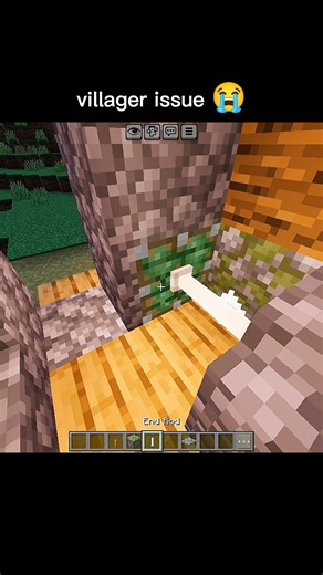 Minecraft villager issue 😭
