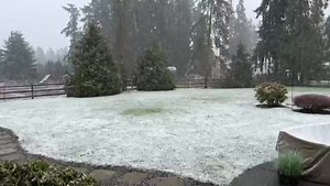6.8K views · 113 reactions | Did you have snow this morning? Some white flakes fell from the sky in Bothell! Share your weather photos and videos below! | KIRO 7 News | Facebook