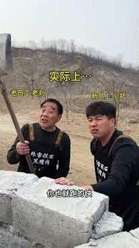 Master's Pig Farm Expertise: Comfort & Laughter in Rural Agriculture