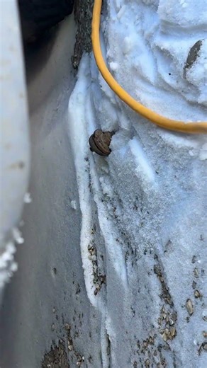 My truck decided it didn’t need full sway bar connection