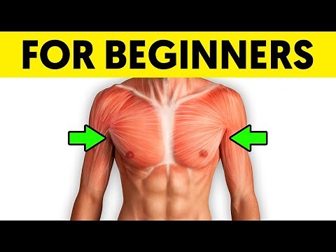 Best way to build up your chest muscle if you're a beginner