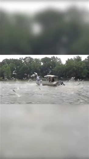 This Fish Problem Has a Tasty Answer