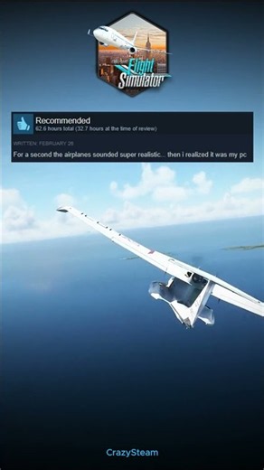 Flight Simulator 2020 - Funny Steam Reviews #flightsimulator #microsoftflightsimulator #steamreviews