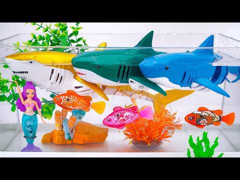 Satisfying With Unboxing ZURU Robo Alive Huge Shark, Fish & Mermaid Swimming Set | Review Toys