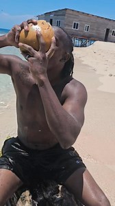 393K views · 28K reactions | Marin Un Coco 﫶 . . . #parati #coco | Que Paja Podcast - QPP | Facebook