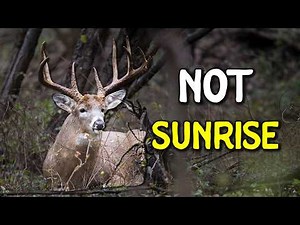 The Best Time to Kill a Mature Buck Isn’t Sunrise