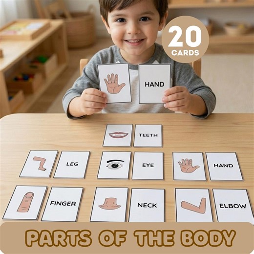 Human Body Parts Flashcards for Kids, Anatomy Learning Cards for Toddlers, Preschool ESL Vocabulary, My Body Activity, Montessori A4 PDF - Etsy