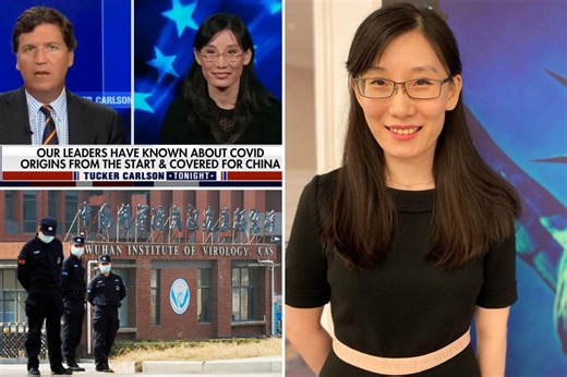 Doc who fled China hides in US over fears Communists want revenge on COVID lab theories