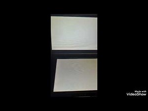 Mario Kart 7 (2011) 100cc Flower Cup N3DS Gameplay