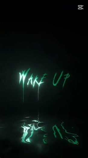 emergency landing trans air services 671