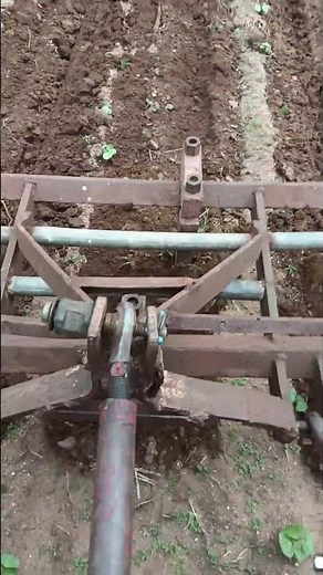 catton cultivation July 7, 2026 #agriculture #tractorlife #catton