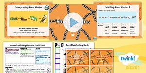 Science: Animals Including Humans: Animal Teeth Y4 Lesson 6