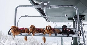 Daily Afternoon Randomness