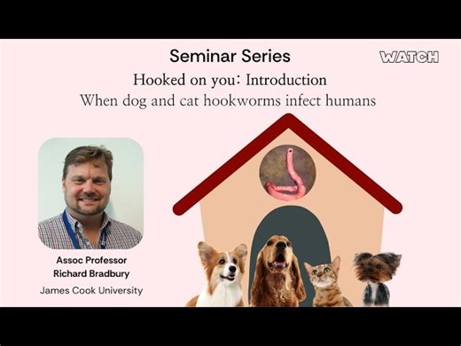 Hooked on You: When Dog and Cat Hookworms Infect Humans. Seminar by Assoc Prof Richard Bradbury, JCU | Centre for Tropical Health and Emerging Diseases