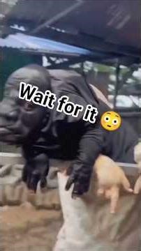 "Rate The Most Insane Flip! 🔥🤯”