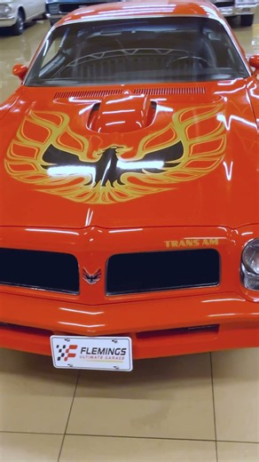 Bandit... got your ears on? 1976 Pontiac Trans Am