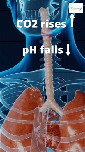 “Normal Oxygen, Dying Patient”