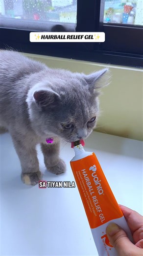Natural Hairball Relief Gel for Cats