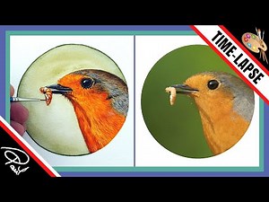 How to paint a Robin bird in watercolor demonstration