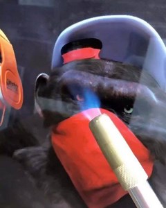 65K views · 727 reactions | New Swag Monkeys! (20”x30”) See no evil, Hear no evil, Speak no evil.  Bigger and smaller sizes are available perfect for your man cave or shop ! Please DM us to place and order.  - - - - - - - - - - - #monkeys #monkey #swag #newtwist #portrait #wallart #walldecor #Metalprint #portrilux #custom | PORTRILUX | Facebook