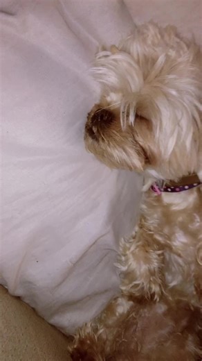 nanog1009 (@nanog9001)’s videos with original sound - nanog1009