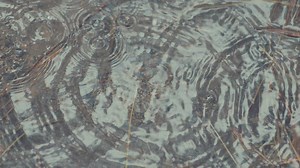 Drops of water falling in a puddle - Free Stock Video