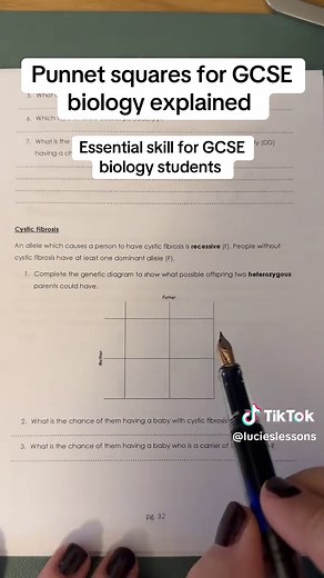 Punnet Squares Explained for GCSE Biology Students