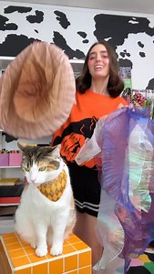 24K views · 1.7K reactions | DIY jellyfish hats with us!! 謁✨ | ChampagneUnicorns | Facebook