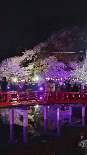 茂原公園の桜観賞ガイド