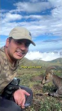 Maybe this is the secret to a fulfilling life….Go and chase your dreams!